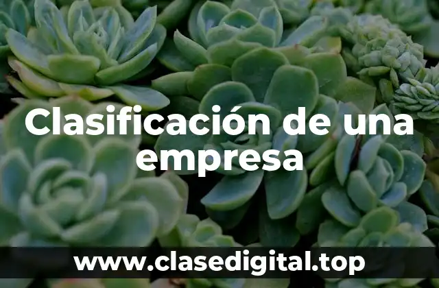 Clasificación de una empresa