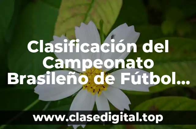 Clasificación del Campeonato Brasileño de Fútbol Serie A