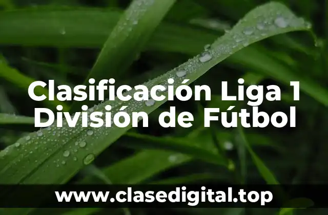 Clasificación Liga 1 División de Fútbol