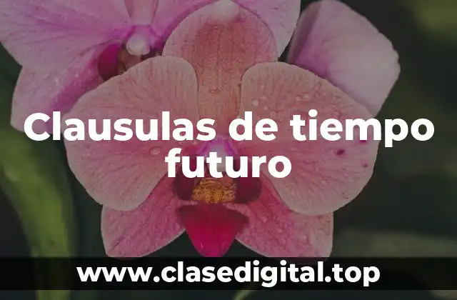 Ejemplos de clausulas de tiempo futuro