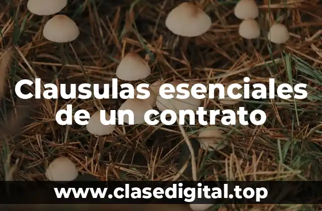 Ejemplos de clausulas esenciales de un contrato