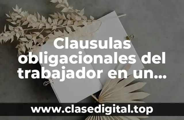 Clausulas obligacionales del trabajador en un restaurante
