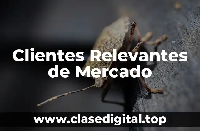 Clientes Relevantes de Mercado