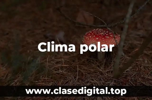 Clima polar