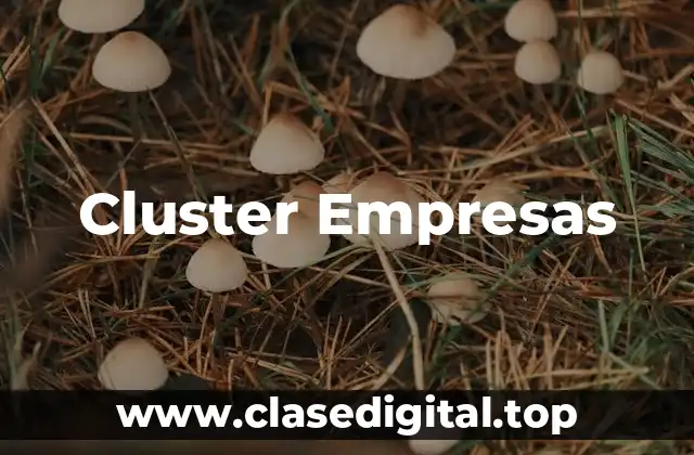 Cluster Empresas