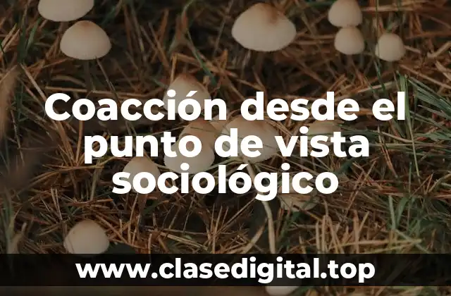 Coacción desde el punto de vista sociológico