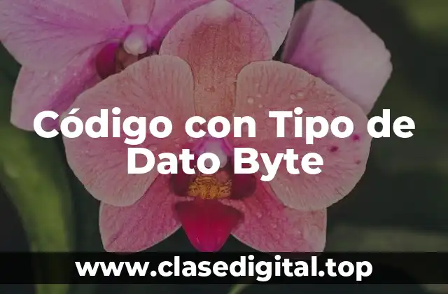 Código con Tipo de Dato Byte