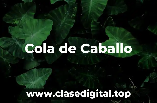 Cola de Caballo