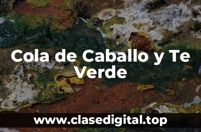 Cola de Caballo y Te Verde