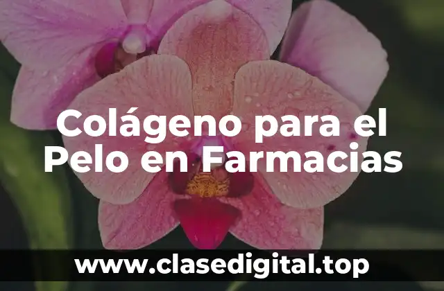 ¿Qué es el Colágeno y Cómo Afecta el Cabello?