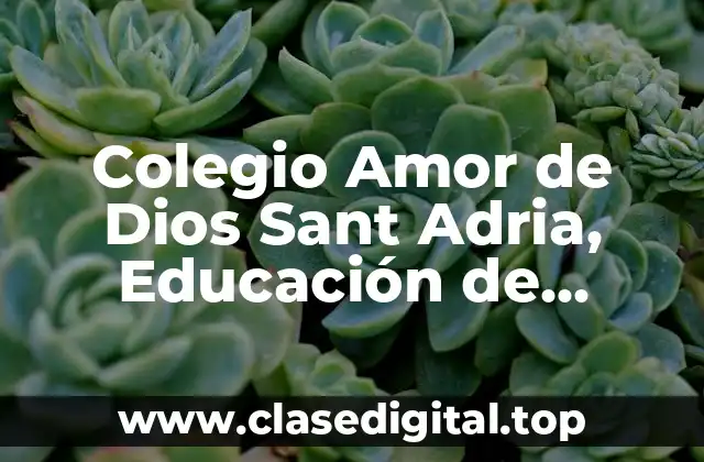 Historia del Colegio Amor de Dios Sant Adria