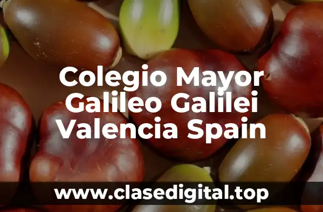 Historia y Misión del Colegio Mayor Galileo Galilei