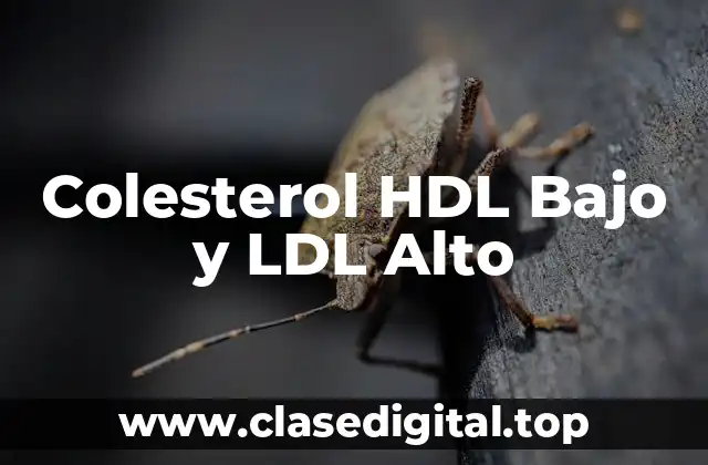 Colesterol HDL Bajo y LDL Alto
