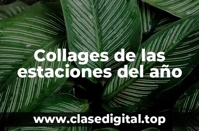 Collages de las estaciones del año