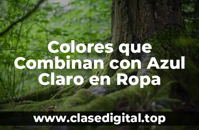 Colores que Combinan con Azul Claro en Ropa