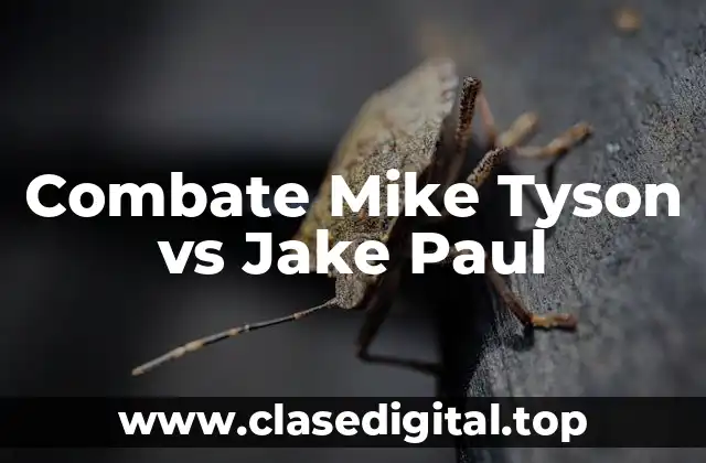 Combate Mike Tyson vs Jake Paul