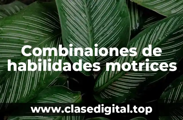 Combinaiones de habilidades motrices