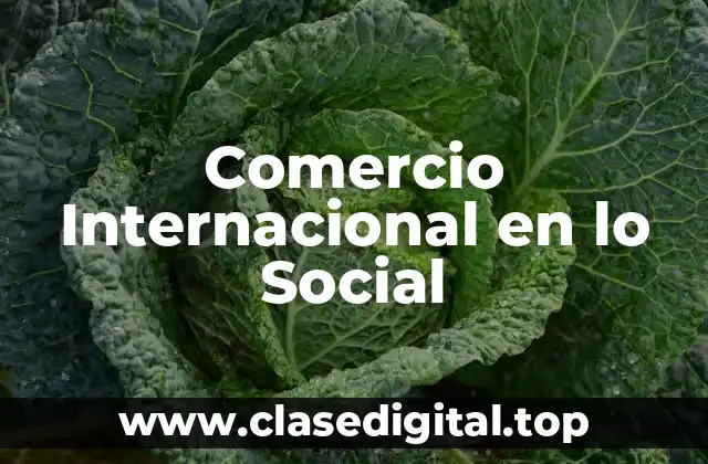 Ejemplos de Comercio Internacional en lo Social