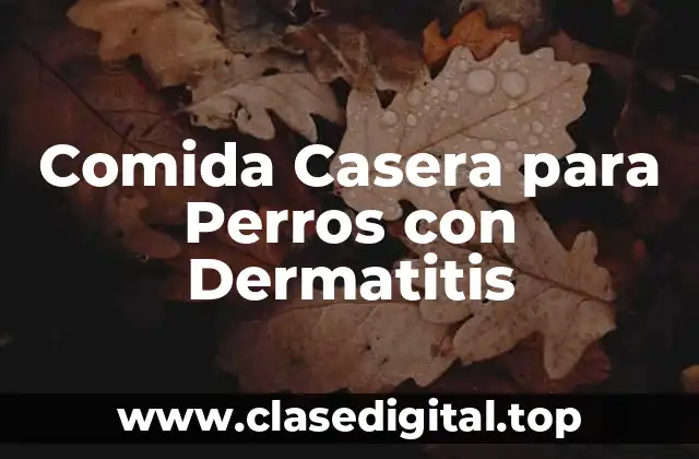 Causas de la Dermatitis en Perros