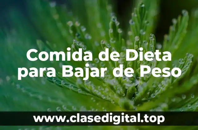 Comida de Dieta para Bajar de Peso
