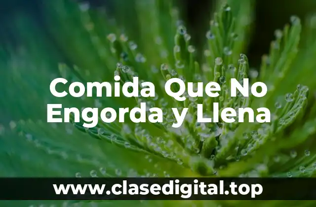 Comida Que No Engorda y Llena