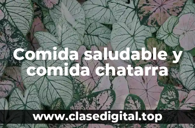 Comida saludable y comida chatarra