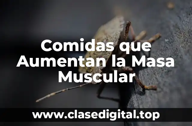 Comidas que Aumentan la Masa Muscular