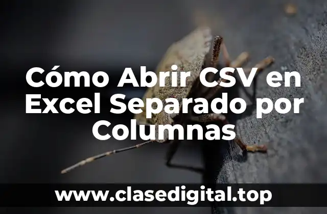 ¿Qué es un Archivo CSV?