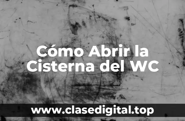 ¿Por qué Abrir la Cisterna del WC es Importante?