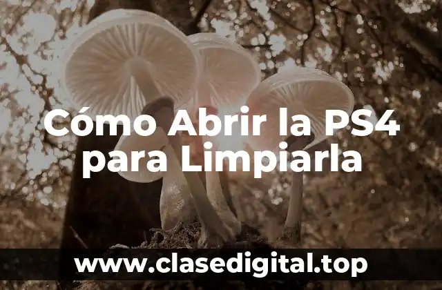 Preparación para la Limpieza