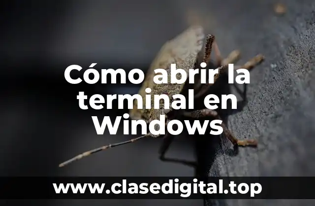 ¿Qué es la terminal en Windows?