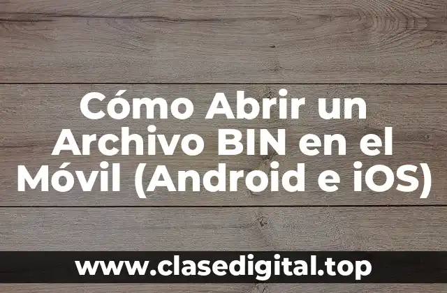 Cómo Abrir un Archivo BIN en el Móvil (Android e iOS)
