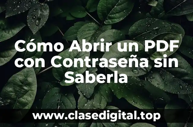 Cómo Abrir un PDF con Contraseña sin Saberla