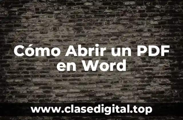Cómo Abrir un PDF en Word