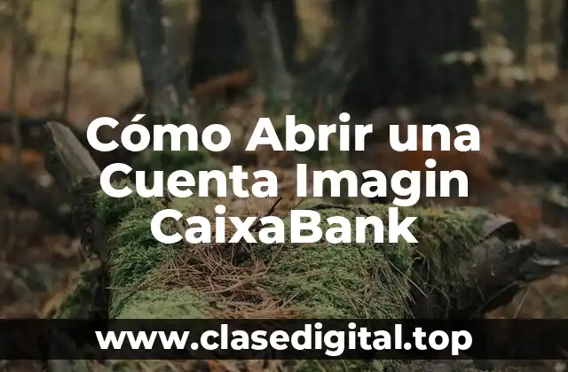Cómo Abrir una Cuenta Imagin CaixaBank