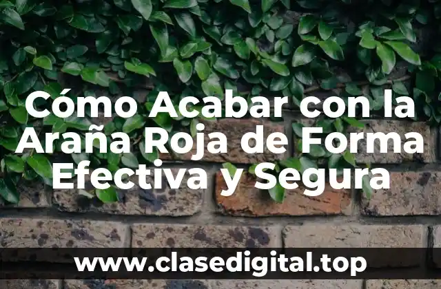 Cómo Acabar con la Araña Roja de Forma Efectiva y Segura