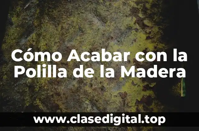 Cómo Acabar con la Polilla de la Madera