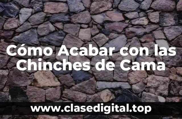 ¿Qué son las Chinches de Cama?