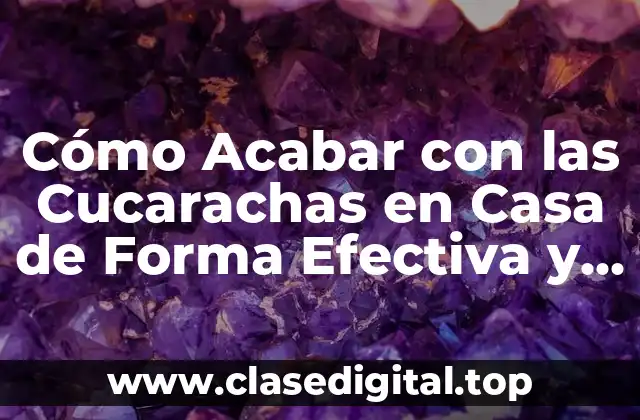 Cómo Identificar una Infestación de Cucarachas