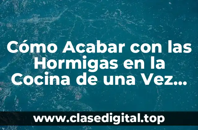 Cómo Acabar con las Hormigas en la Cocina de una Vez por Todas