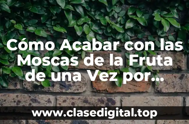 Cómo Acabar con las Moscas de la Fruta de una Vez por Todas