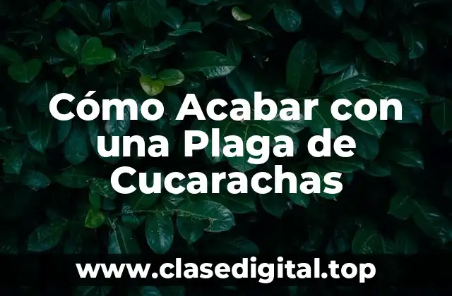 Cómo Saber si Tienes una Plaga de Cucarachas
