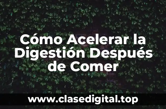 Cómo Acelerar la Digestión Después de Comer