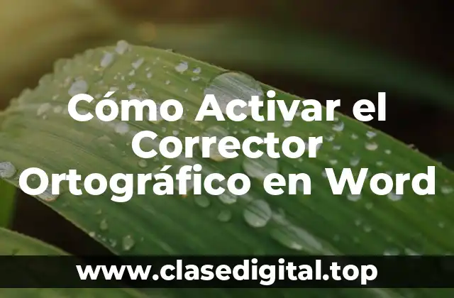 ¿Por qué es Importante la Revisión Ortográfica en Word?