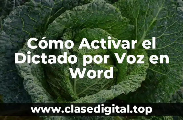 Cómo Activar el Dictado por Voz en Word
