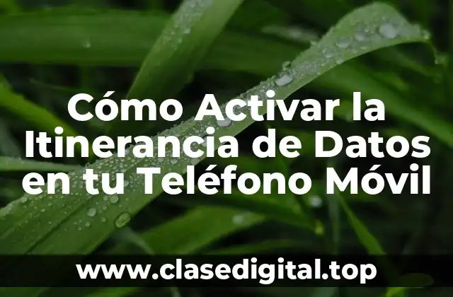 ¿Qué es la Itinerancia de Datos?