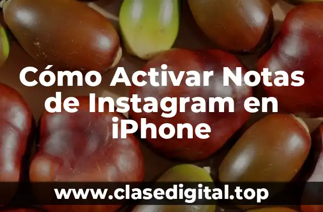 Cómo Activar Notas de Instagram en iPhone