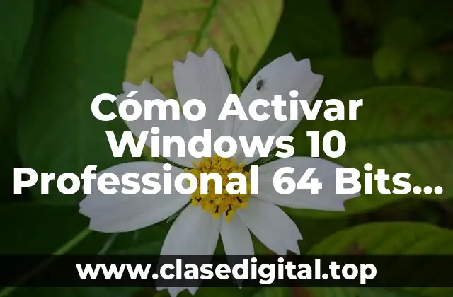 Cómo Activar Windows 10 Professional 64 Bits de Forma Segura y Permanente