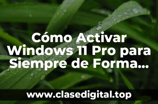 ¿Por qué es Importante Activar Windows 11 Pro?