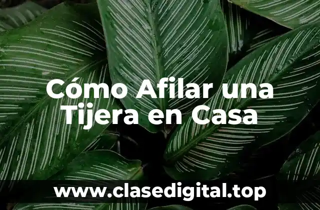 Cómo Afilar una Tijera en Casa